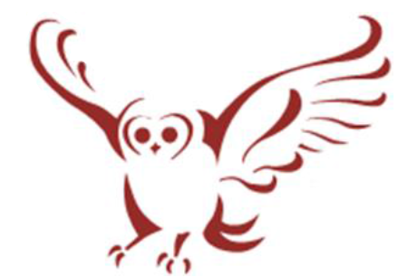Biosynesi owl logo